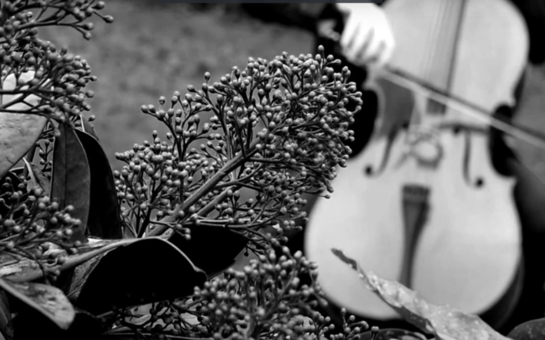 Communiqué de presse