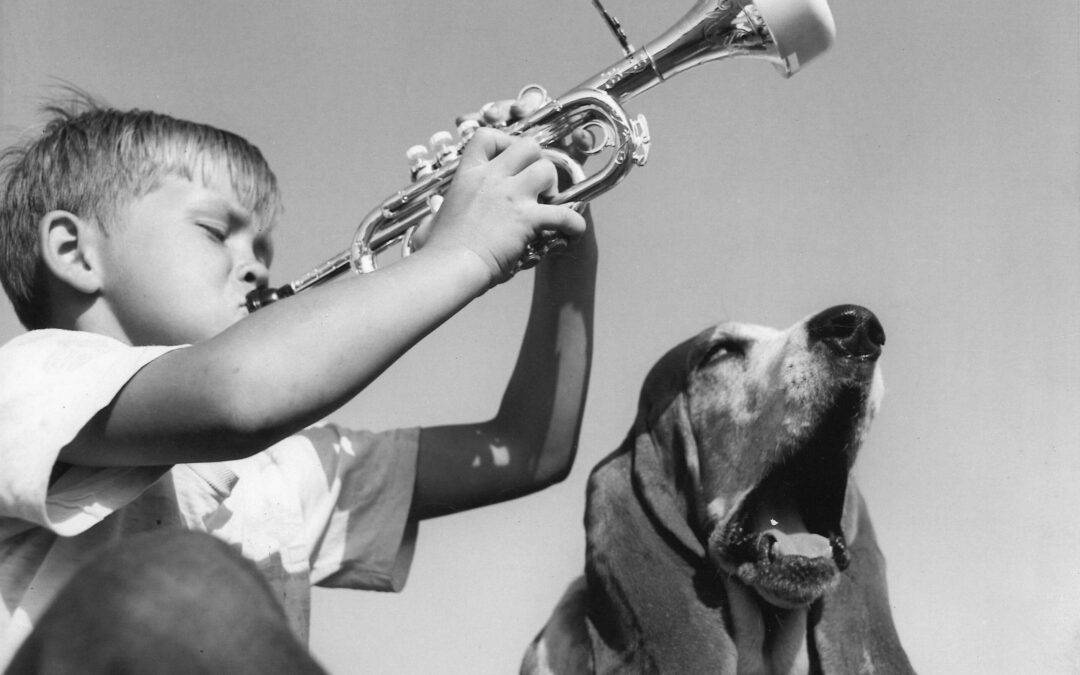 une enfant et un chien qui font de la chanson enterrement humour