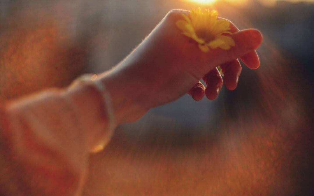 Musique douce pour un enterrement : sélection de morceaux apaisants pour accompagner la cérémonie